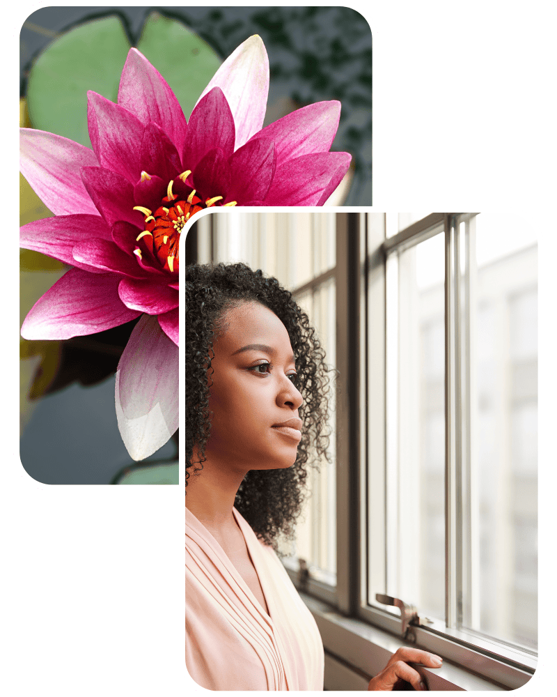 Pink Lotus Flower Against Black Woman Looking Out Window During Therapy Visit