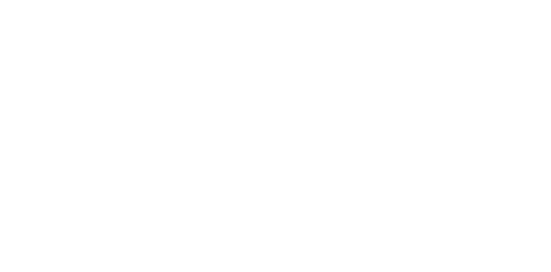Blue Cross Blue Shield Blue Care Network of Michigan Insurance Accepted at Nava Therapy
