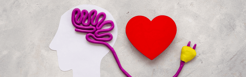 Play Dough and Paper Cutout of Plugged-in Brain Next to Heart Showing Healthy Mental State After Specialized Therapy