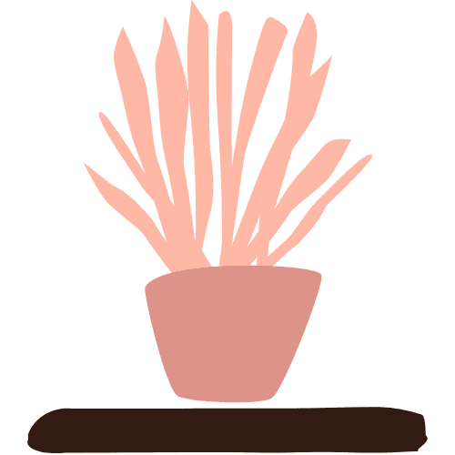 Comforting Plant in Pink Resembling that which Can Be Found in Therapist Offices